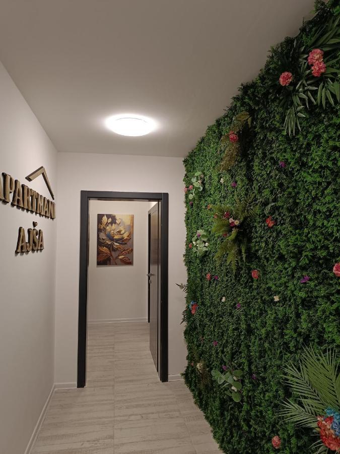 Apartments Ajsa SJJ Extérieur photo